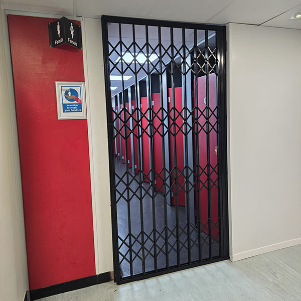 1000 Single Internal Door