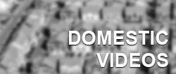Domestic Videos