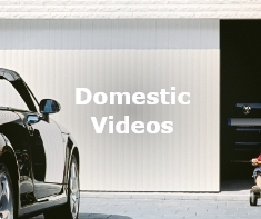 Domestic Videos