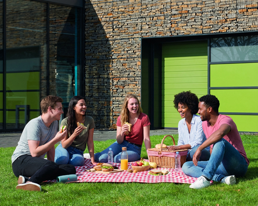 Carteck SW40 in green